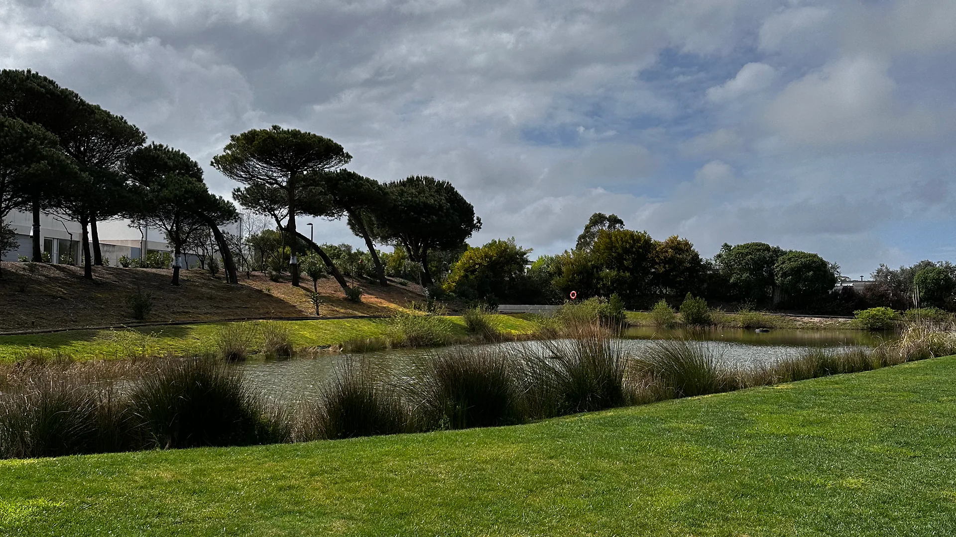 Man wearing a red hoodie and sunglasses standing with arms crossed outdoors, with a walkway, parked cars, and people in the background.